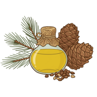 Tinh Dầu Thông Đỏ