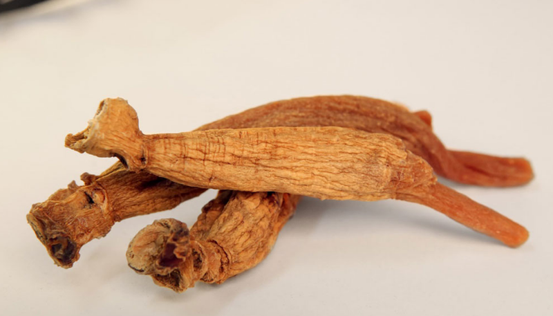 Giải đáp thắc mắc hồng sâm có tác dụng gì cho người già suy nhược.