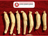 Phân Biệt Thiên Sâm và Lương Sâm Nguyên Củ: "Đẳng Cấp" Nào Dành Cho Bạn?