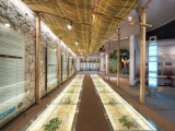 Nhà máy Nhân sâm lớn nhất Thế giới: Korea Ginseng Factory