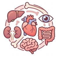 Thực Phẩm Hỗ Trợ Sức Khoẻ