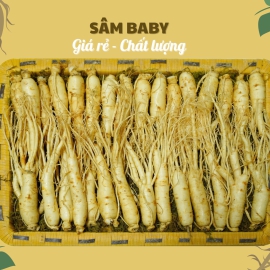 Nhân Sâm Baby (Sâm Non) Củ Tươi Hàn Quốc: Giải Pháp Dinh Dưỡng Siêu Tiết Kiệm Hàng Ngày