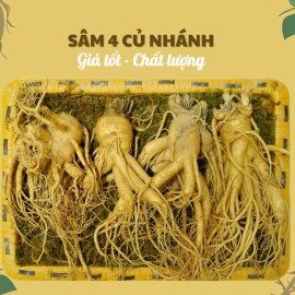 Nhân Sâm Củ Tươi Hàn Quốc Loại 4 Củ/Kg: Cực Phẩm Dáng Đẹp, Quà Tặng Cao Cấp