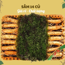 Nhân Sâm Củ Tươi Hàn Quốc Loại 14 Củ/Kg: Giải Pháp Dinh Dưỡng Tiết Kiệm Chi Phí Hàng Ngày