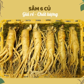 Nhân Sâm Củ Tươi Hàn Quốc Loại 6 Củ/Kg: Lựa Chọn Giá Tốt Nhất Để Dùng Hàng Ngày