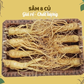 Nhân Sâm Củ Tươi Hàn Quốc Loại 8 Củ/Kg: Giải Pháp Bồi Bổ Tiết Kiệm, Tươi Mới Hàng Ngày