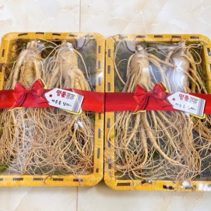 Sâm Tươi Nên Dùng Lúc Nào Trong Ngày Tốt Nhất? [Thời Điểm Vàng]