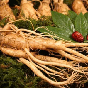 Hồng Sâm 6 Năm Tuổi – Nguồn Gốc, Công Dụng & Giá Trị Sức Khỏe