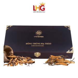 Đông Trùng Hạ Thảo Ký Chủ Nhộng VNHERBS (Hộp Gỗ 80 Con) – Quà biếu sức khỏe cao cấp