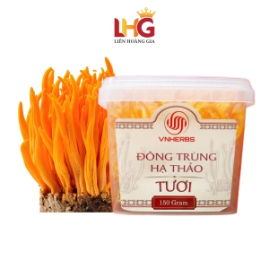 Đông Trùng Hạ Thảo Tươi (Hộp 150 Gram Có Đế) VNHERBS – Thực phẩm vàng cho sức khỏe