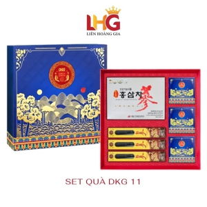Set Quà Tết DKG.11 VHP Ginseng – Biểu Tượng An Khang Thịnh Vượng