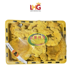Nấm Thượng Hoàng Hàn Quốc (Phellinus Linteus) – Nhập Khẩu Chính Hãng
