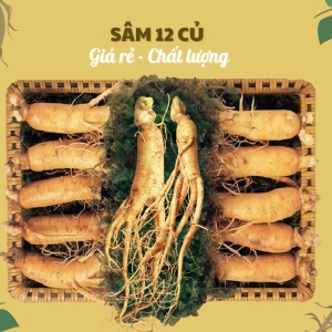 Nhân Sâm Củ Tươi Hàn Quốc Loại 12 Củ/Kg: Giải Pháp Dinh Dưỡng Siêu Tiết Kiệm Từng Ngày