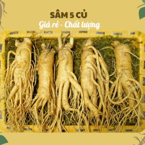 Nhân Sâm Củ Tươi Hàn Quốc Loại 5 Củ/Kg: Giải Pháp Bồi Bổ Tối Ưu Cho Gia Đình