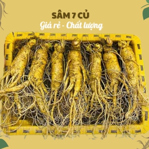 Nhân Sâm Củ Tươi Hàn Quốc Loại 7 Củ/Kg: Giải Pháp Dinh Dưỡng Tiết Kiệm Từng Ngày