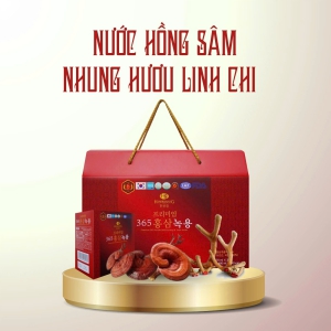 Nước Hồng Sâm Nhung Hươu Linh Chi Hankwanjang 365: Tinh Hoa Sức Khỏe Hàn Quốc