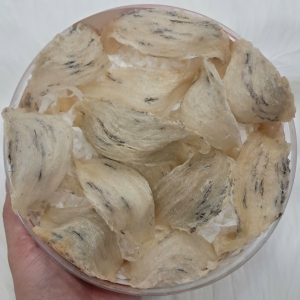 Yến Thô Nguyên Tổ Đẹp Nha Trang Khánh Hòa – 100% Tự Nhiên, Nguyên Chất, Giá Trị Cao