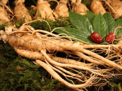 Hồng Sâm 6 Năm Tuổi – Nguồn Gốc, Công Dụng & Giá Trị Sức Khỏe