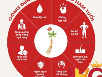 Nước Hồng Sâm WON KGC Có Khác Gì Cheong Kwan Jang? Phân Biệt Đúng Về Thương Hiệu