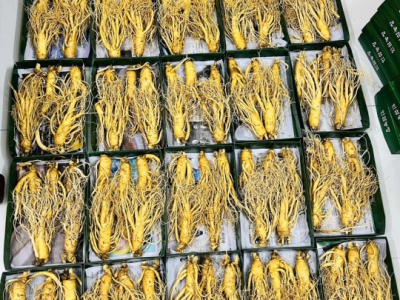 Nên Mua Sâm Loại Mấy Củ 1kg? (Góc Nhìn Từ Chuyên Gia)