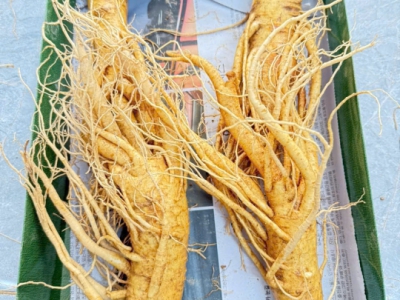 Cách Ngâm Sâm Tươi Với Mật Ong Đúng Chuẩn [Không Sủi Bọt, Để Cả Năm]