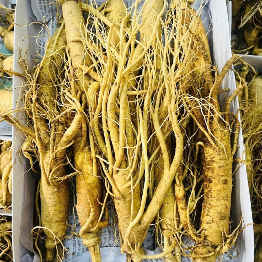 Hoạt chất Saponin trong sâm 6 năm tuổi giúp hỗ trợ chuyển hóa đường