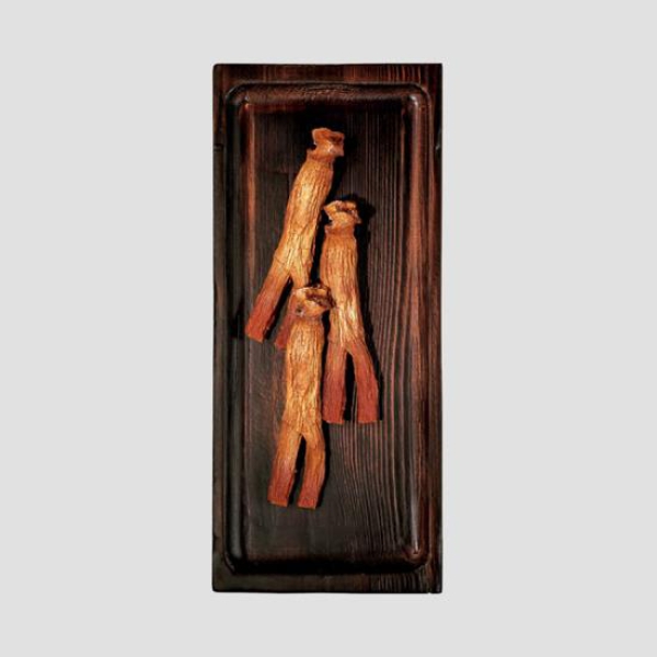 Lương Sâm Nguyên Củ KGC Good Root 40Ji 37.5 g _3 Củ