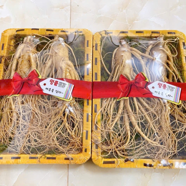 Nhân Sâm Củ Tươi Hàn Quốc Loại 2 Củ/Kg: Thượng Phẩm Bồi Bổ Nhập Khẩu Tươi Mới Mỗi Ngày