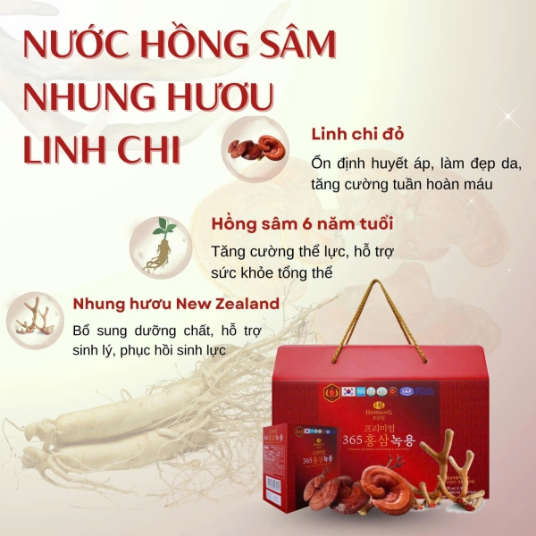 Nước Hồng Sâm Nhung Hươu Linh Chi Hankwanjang 365 – Tuyệt Tác Đại Bổ Khí Huyết, Tăng Cường Sinh Lực Và Trường Thọ