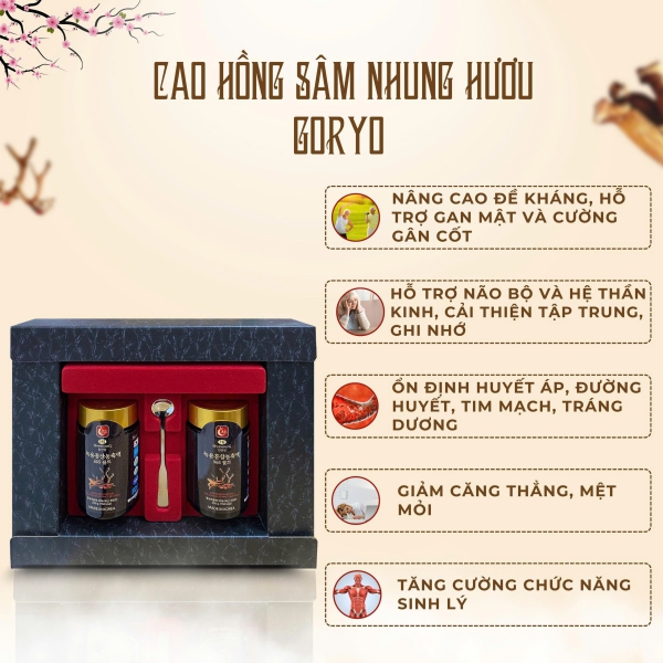 Cao Hồng Sâm Nhung Hươu 6 Tuổi Goryo – Tuyệt Tác 