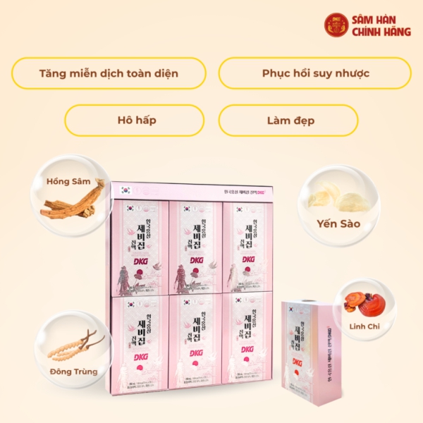 Nước Hồng Sâm Yến Sào G-BIRD DKG Hộp 70ml x 30 – Gói công thức phối trộn hồng sâm 6 năm tuổi, yến sào, linh chi và đông trùng hạ thảo giúp bồi bổ cơ thể.