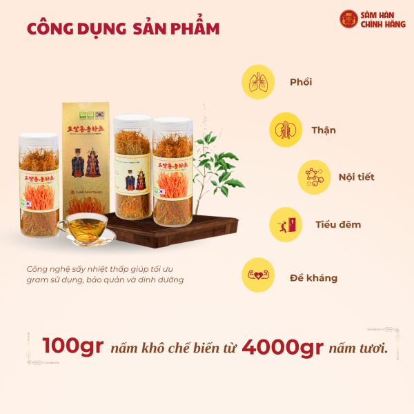Đông trùng hạ thảo Militaris Hoàng Gia (100g/lọ) chiết xuất 100% nấm hữu cơ nhập khẩu Hàn Quốc giúp đại bổ cơ thể, ích phế bổ thận và nâng cao miễn dịch.