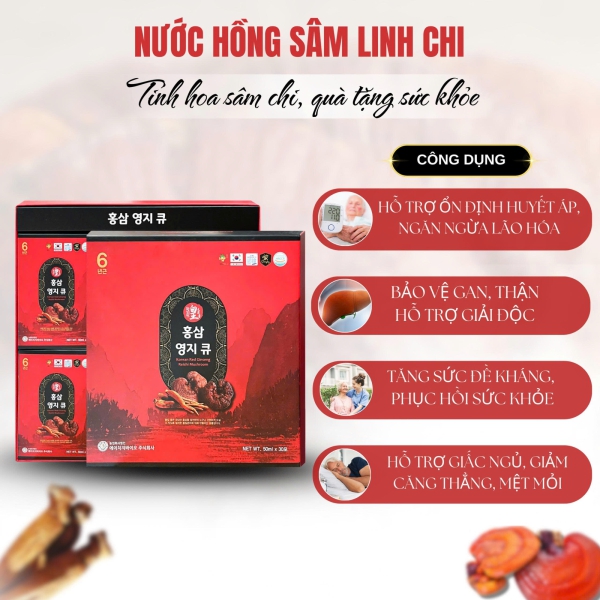 Nước Hồng Sâm Linh Chi Premium (30 Gói): Tinh Hoa Sức Khỏe Thượng Hạng 2026