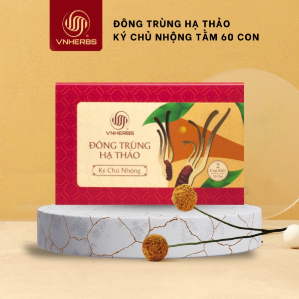 Đông Trùng Hạ Thảo Ký Chủ Nhộng hộp giấy 60 con – Bồi bổ sức khỏe, quà tặng ý nghĩa