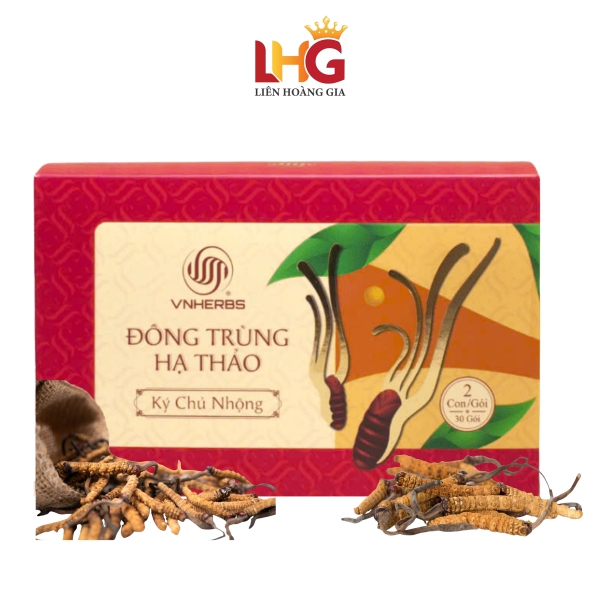 Đông Trùng Hạ Thảo Ký Chủ Nhộng (Hộp Giấy 60 Con) – Sấy Thăng Hoa bồi bổ sức khỏe, quà tặng ý nghĩa