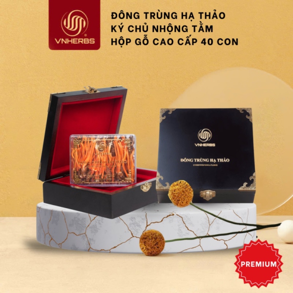 Đông Trùng Hạ Thảo Ký Chủ Nhộng hộp gỗ 40 con – Quà biếu sức khỏe cao cấp