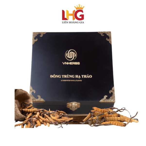 Đông Trùng Hạ Thảo Ký Chủ Nhộng VNHERBS (Hộp Gỗ 40 Con) – Quà biếu sức khỏe cao cấp