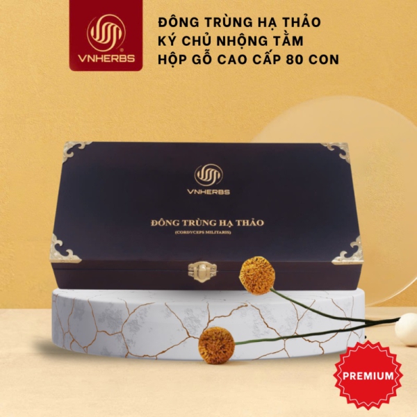 Đông Trùng Hạ Thảo Ký Chủ Nhộng hộp gỗ 80 con – Quà biếu sức khỏe cao cấp