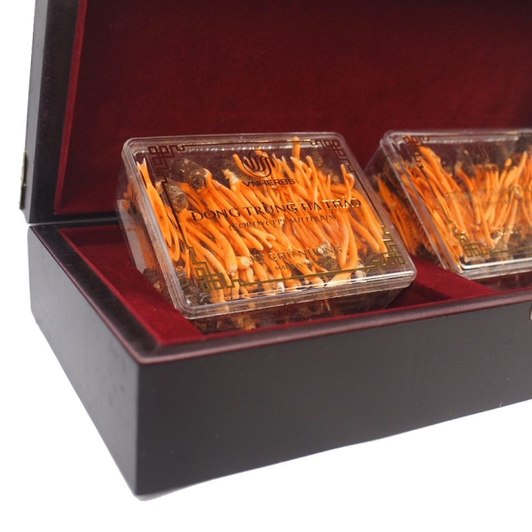 Đông Trùng Hạ Thảo Ký Chủ Nhộng hộp gỗ 80 con – Quà biếu sức khỏe cao cấp