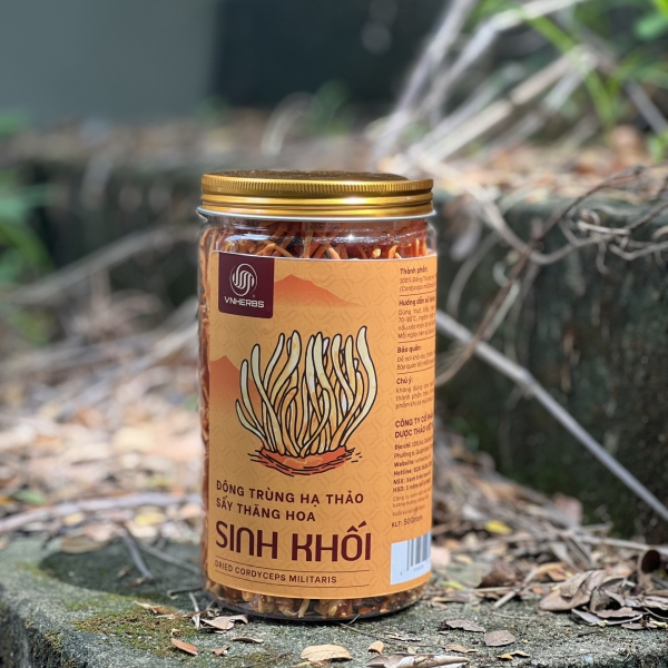 Đông Trùng Hạ Thảo Sấy Thăng Hoa – Sinh Khối 50 Gram Chính Hãng, Giá Tốt