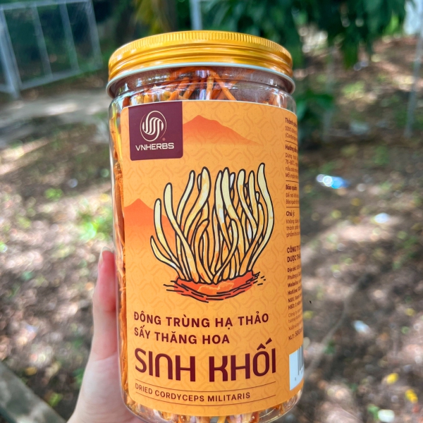 Đông Trùng Hạ Thảo Sấy Thăng Hoa – Sinh Khối 50 Gram Chính Hãng, Giá Tốt