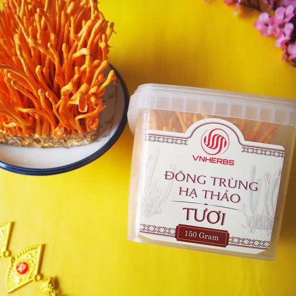 Đông Trùng Hạ Thảo Tươi hộp 150g có đế – Thực phẩm vàng cho sức khỏe