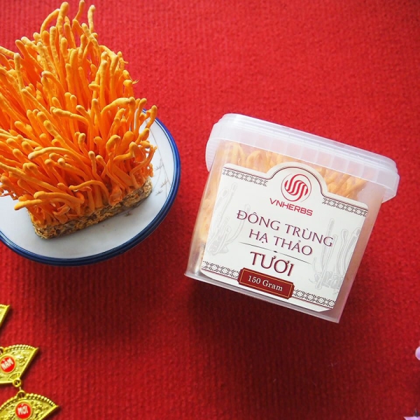 Đông Trùng Hạ Thảo Tươi hộp 150g có đế – Thực phẩm vàng cho sức khỏe