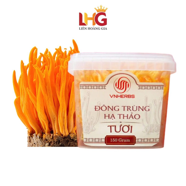 Đông Trùng Hạ Thảo Tươi (Hộp 150 Gram Có Đế) VNHERBS – Thực phẩm vàng cho sức khỏe