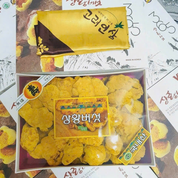 Nấm Thượng Hoàng Hàn Quốc Chính Hãng – Hỗ Trợ Miễn Dịch, Bồi Bổ Sức Khỏe