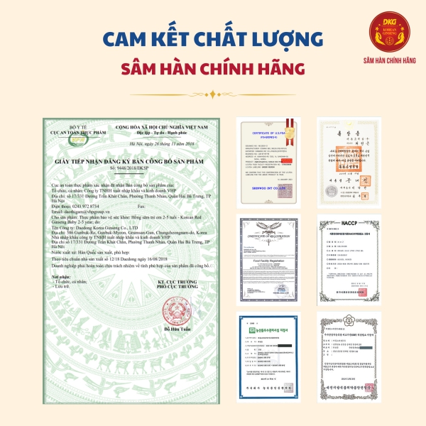 Hồng Sâm Trẻ Em 2-5 Tuổi – Korean Red Ginseng Baby 2-5 Year (Hộp 30 Gói x 20ml)