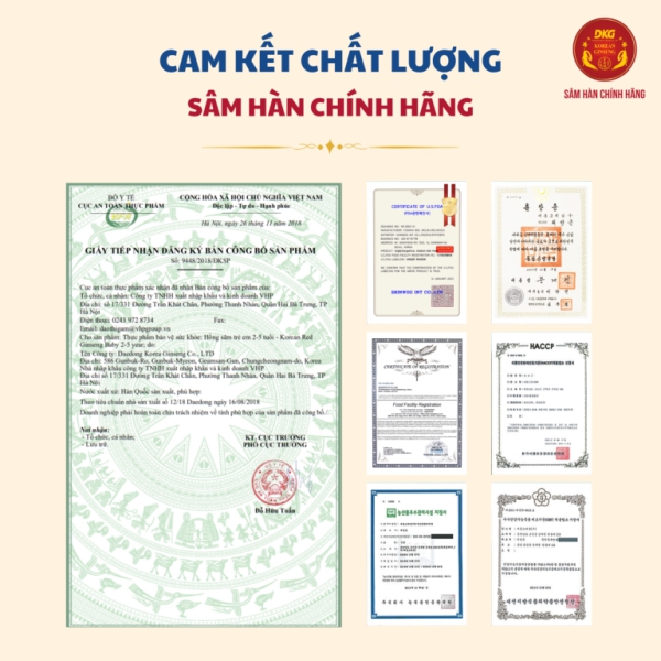 Hồng Sâm Trẻ Em 6-13 Tuổi – Korean Red Ginseng Junior 6-13 Year (Hộp 30 Gói x 20ml)