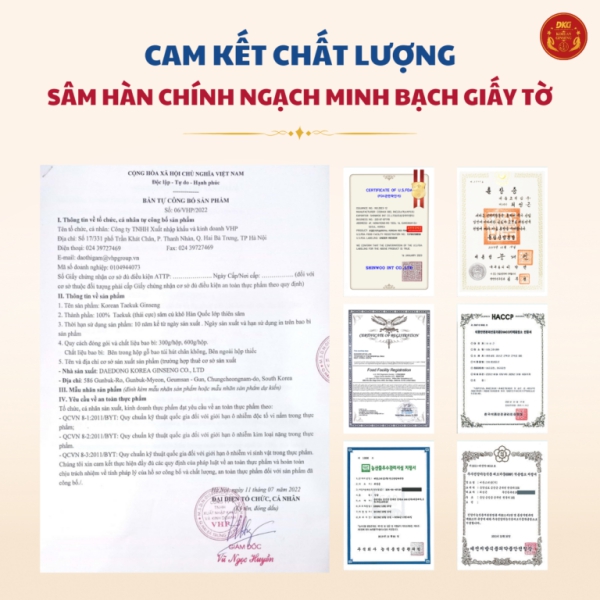 Thái cực sâm củ khô HQ (Thiên sâm) 300g - số 10 (10củ) - Daedong quy cách hộp thiếc chứa 100% thái cực sâm lớp Thiên sâm giúp đại bổ nguyên khí, tăng đề kháng và ổn định huyết áp.