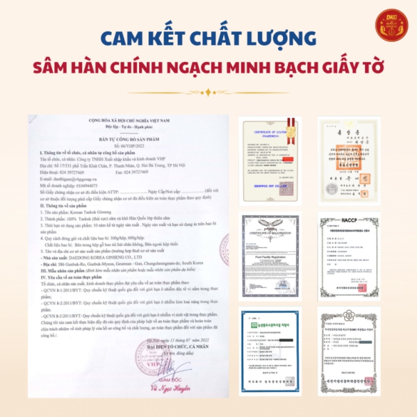 Thái cực sâm củ khô HQ (Thiên sâm) 600g - số 20 (20củ special) - Daedong quy cách hộp thiếc chứa 100% thái cực sâm lớp Thiên sâm giúp đại bổ nguyên khí, tăng đề kháng và ổn định huyết áp.