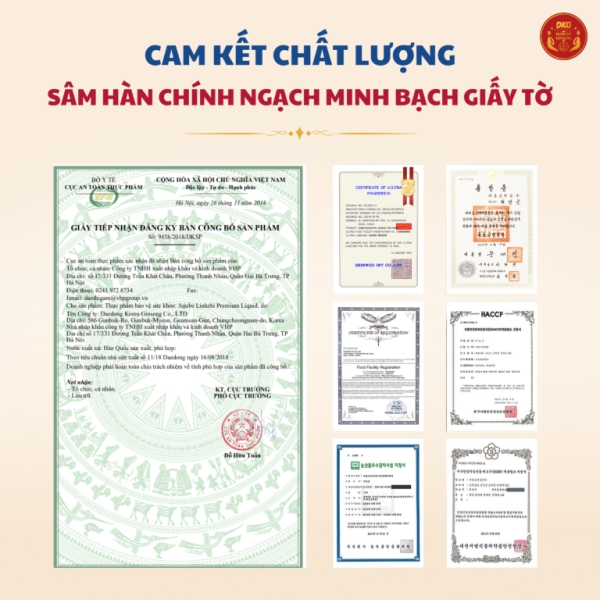 Linh chi táo đỏ premium (80ml x 30g) - Daedong quy cách hộp gói chứa chiết xuất linh chi và táo đỏ thượng hạng giúp thanh lọc cơ thể, bồi bổ tổng trạng, tăng cường đề kháng và ngủ ngon giấc.